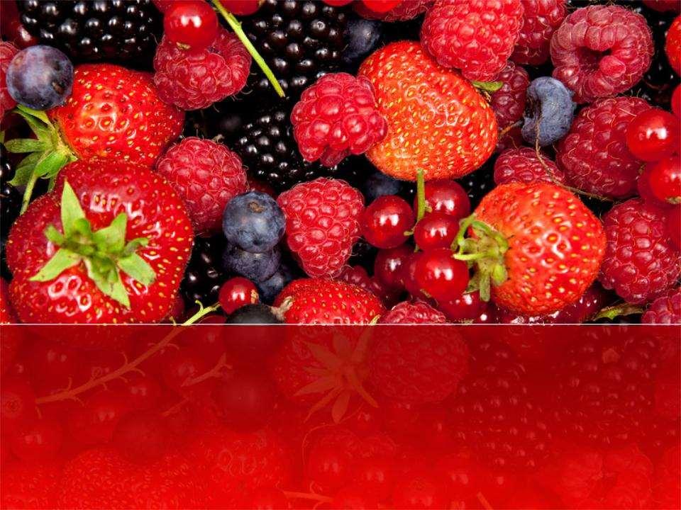 AgroNanoGel -