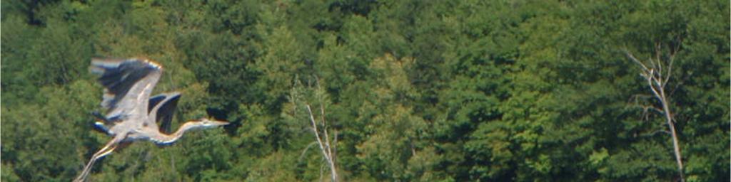 Przepływ
