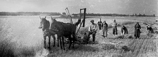 LIPSKO KOSOBUDY Widok lotniczy okolic Lipska-Kosobud. Fot. Jerzy Cabaj. Lipsko Kosobudy posiada zabudowę mieszkalną po jednej stronie drogi. Wieś ma przez to nietypowy, otwarty na pola pejzaż.