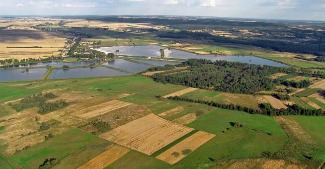 TOPORNICA Zdjęcie lotnicze okolic Topornicy. Fot. Jerzy Cabaj. Już w XVII w. w Topornicy istniał niewielki staw zasilany przez źródła oraz młyn.