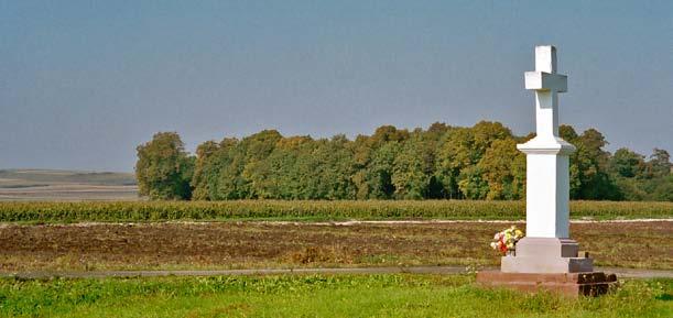 WIEPRZEC Widok w kierunku założenia dworsko-folwarcznego w Wieprzcu /obecnie Kolonia Hubale/. Fot. Ewa Lorentz. Wieprzec to bardzo ważny ośrodek dworsko-folwarczny już od XVI w.