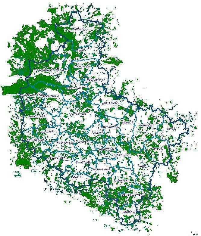 Strona 5 z 21 Mapa przedstawiająca obszary leśne Na terenie województwa wielkopolskiego lasy zajmują powierzchnię 761 800 tys. ha, tj. 8,51% polskich lasów.