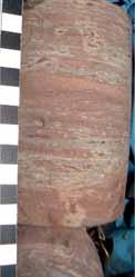 Ryc. 3. Stratotyp dolnej granicy formacji grabowskiej w profilu WoŸniki K1 (g³êb. 68,8 m, A C; ryc.