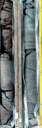 5), at the top of red, flaser-bedded silty-sandy-miceous layer, and typical lithologies of evaporite relics: dark mudstones with soil levels and collapse breccias (lower part of Patoka Member; Patoka