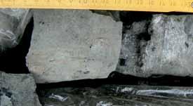 A dark conglomerate-sandstone succession with coal clasts (KW) and grayish mudstones, in the upper part pedogenic carbonate nodules (NP) the soil level, Patoka 1, depth 159.00 159.