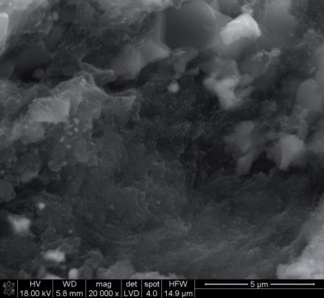 P. RUTKOWSKI, D. KATA, J. LIS Rys. 3. Mikrostruktura azotku glinu z dodatkiem 50% mas. CNT prasowanego na gor co w 1830 C. Fig. 3. Microstructure of aluminium nitride with 50% concentration of CNT hot-pressed at 1830 C.