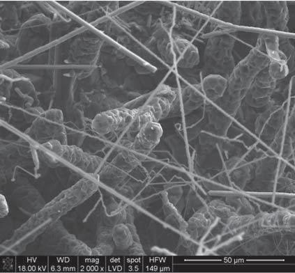 (NH 4 ) 2 CO 3, g),1 MPa, 3% obj. NH 4 NO 3, h) 1 MPa, 2% obj. NH 4 NO 3. Fig. 5. SEM images of SHS-derived powders: a) 1 MPa, with no salt, b),1 MPa, with no salt, c),1 MPa, 1 vol.