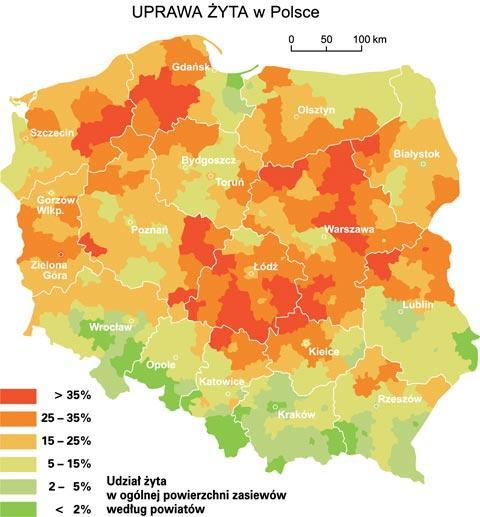 Paliwo dla energetyki rozproszonej Słoma zbóż i