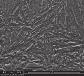 SEM micrographs of etched sections surfaces of Gleeble specimens subjected to tests no 3 and