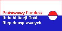 Ewaluacja Programu Aktywny Samorząd Poznań 2017 Raport końcowy z badania