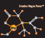 Rozwiązanie: Wybierz produkt jedynego w Polsce partnera Albion Laboratories - CREATINE MAGNA POWER Tylko z OLIMP-em!