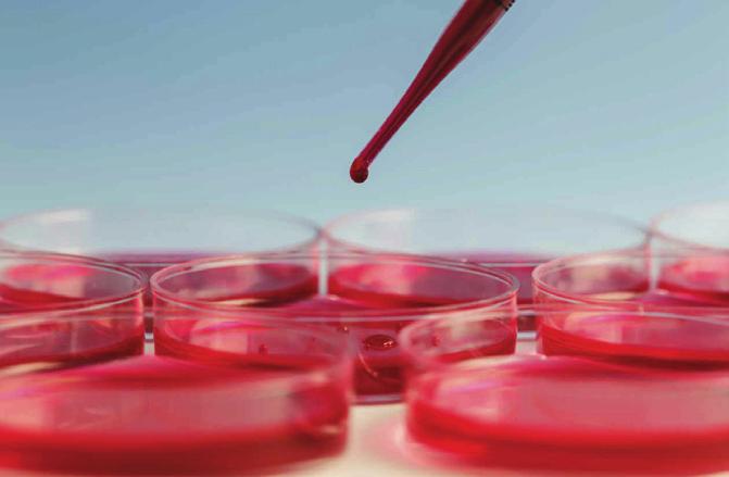 Hemoglobina- podstawowe informacje Hemoglobina jest głównym białkiem krwinek czerwonych (erytrocyty).