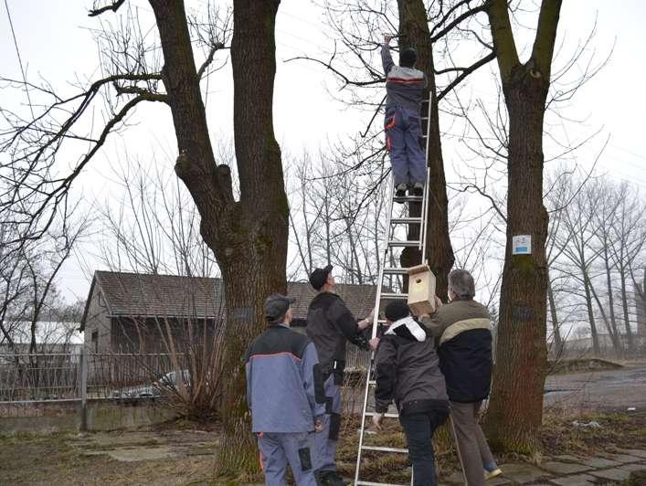 Zakładamy budki