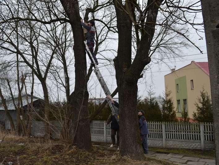 Zakładamy budki