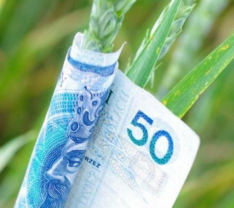 PRAWA NAWOZOWE Zależność między wzrostem, rozwojem i