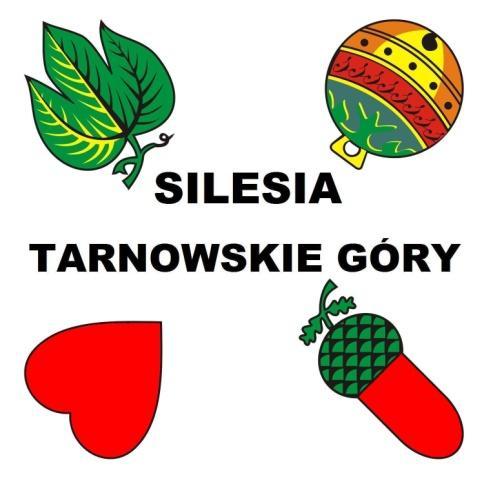 STOWARZYSZENIE KLUB SKATOWY