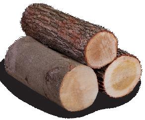 Przekrój cięcia wychył / stół 230 mm Prędkość cięcia 53 m/sec. Wysokość robocza 960 mm Obroty 1.