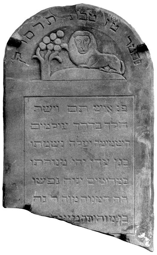 8. Noach ben Jona Mosze, zm. 16 tewet 5666 r., tj. 13 stycznia (sobota) 1906 r. Piaskowiec biały, 77 x 48 x 10.