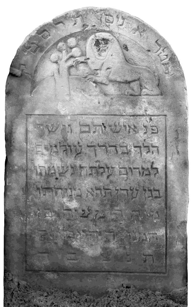 12. Mosze ben Chajim, zm. 1 nisan 5669 r., tj. 23 marca (wtorek) 1909 r. Piaskowiec biały, 88 x 52 x 9.
