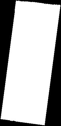 dzienników w 2005 r. tys.