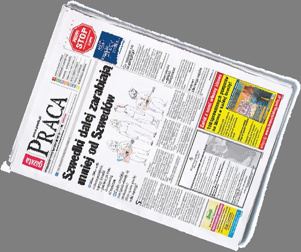 oferta papier/internet dla poszukujących: ulepszo oferta w