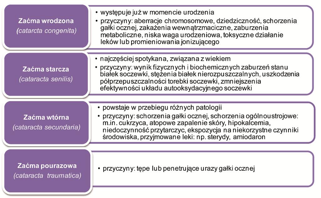 Rysunek 2. Typy zaćmy ze względu na przyczynę powstania Źródło: opracowanie własne na podstawie [2] Rysunek 3.