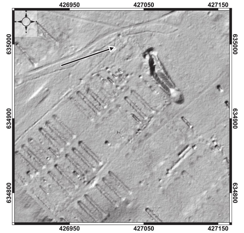 ARCHEOLOGIA POZA ARCHAĪOS. PRZYKŁAD OBOZU JEŃCÓW WOJENNYCH 187 został CMW o średniej gęstości pomiaru 4,1 pkt/m 2.