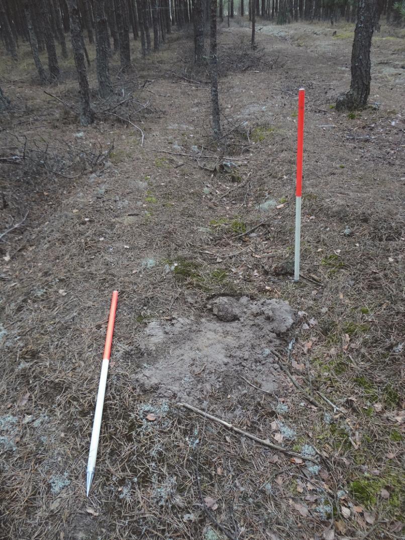 ARCHEOLOGIA POZA ARCHAĪOS. PRZYKŁAD OBOZU JEŃCÓW WOJENNYCH 195 Ryc. 14.