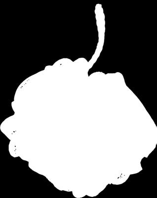 Bolsius, Aromatic, świeca w szkle,
