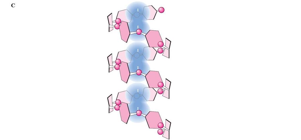 Grischam, Biochemistry 5th edition, Brooks/Cole Cengage Learning 2013) Wykonanie próby Lugola: Do 1 ml badanego roztworu dodać trzy krople (lub 90 µl) roztworu jodu (I2) w jodku potasu (KI).