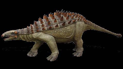 długość 280 cm, szerokość 70 cm