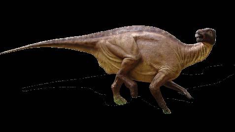 250 cm, długość 600 cm, szerokość