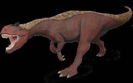 DINOZAURy - OFERTA STANDARDOWA