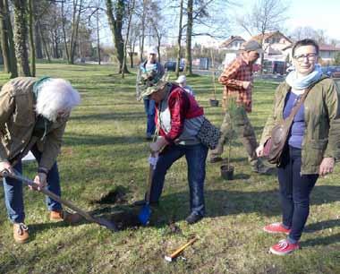 Kilkadziesiąt osób sadziło drzewa na terenie Obornik Śląskich, a harcerze z opiekunami sprzątali Ruską Górkę. Łącznie posadzono 44 drzewa!