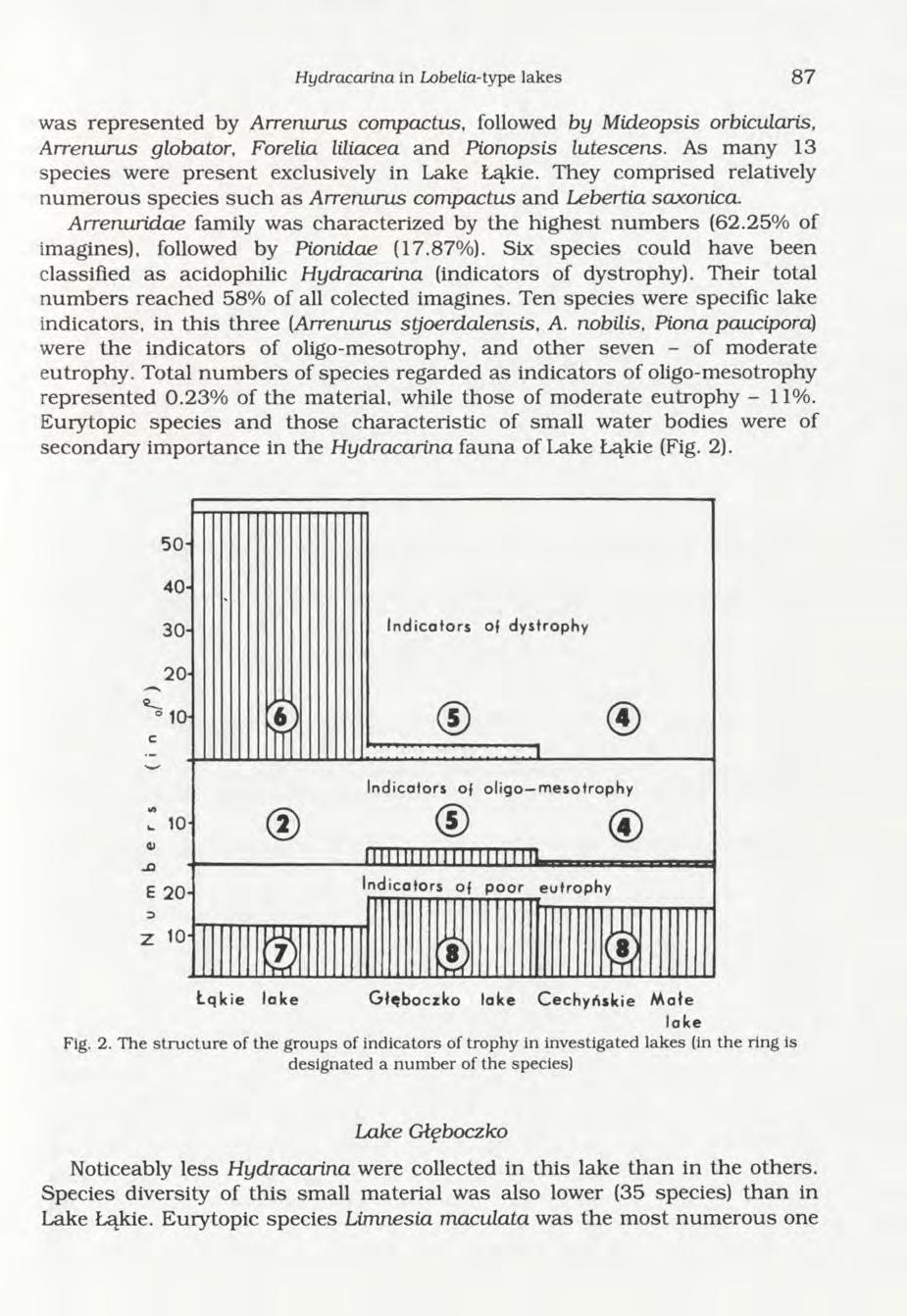 Hydracarina in Lobelia-type lakes 87 was represented by Arrenurus compactus, followed by Mideopsis orbicularis, Arrenums globator, Forelia liliacea and Pionopsis lutescens.