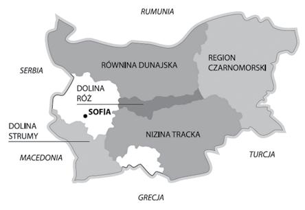Poza tym rosną: melnik, rubin, dimiat, misket.