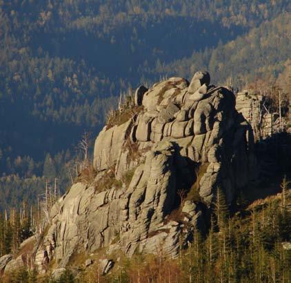 Przewodnik