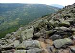 1. Szrenica, Trzy Świnki i Twarożnik Szczyt Szrenicy (1362 m n.p.m.) zbudowany jest z granitu równoziarnistego. Ta odmiana granitu jest nazywana również granitem grzbietowym.