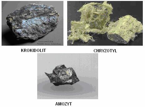 2. amfibole, do których naleŝą: krokidolit - uwodniony krzemian magnezowo Ŝelazowy, amozyt - krzemian Ŝelazowo magnezowy, antofyllit - krzemian magnezowy zawierający Ŝelazo, tremolit, aktynolit.