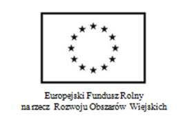 Lista rankingowa wniosków, które wpłynęły w odpowiedzi na ogłoszony konkurs w ramach działania "Małe projekty" w terminie 27.05.2011 r. 10.06.