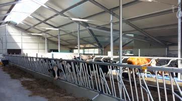 Zdrowie fizyczne i psychiczne krów ma kluczowe znacznie dla wszystkich gospodarstw mlecznych.