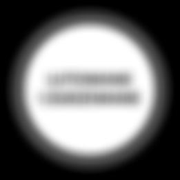 Phase formation and phase separation in multiphase thin film hard coatings. Surface and Coatings Technology. 188 189 (2004): s. 376 383. 10. Pesch P., Sattel S., Woestmann S., Ulrich S.