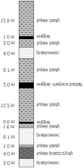 2. Ogólna charakterystyka wyrobiska oraz rezultaty pomiarów jego zaciskania pionowego Rozpatrywane wyrobisko korytarzowe pełniło funkcję chodnika przyścianowego ściany zawałowej prowadzonej na