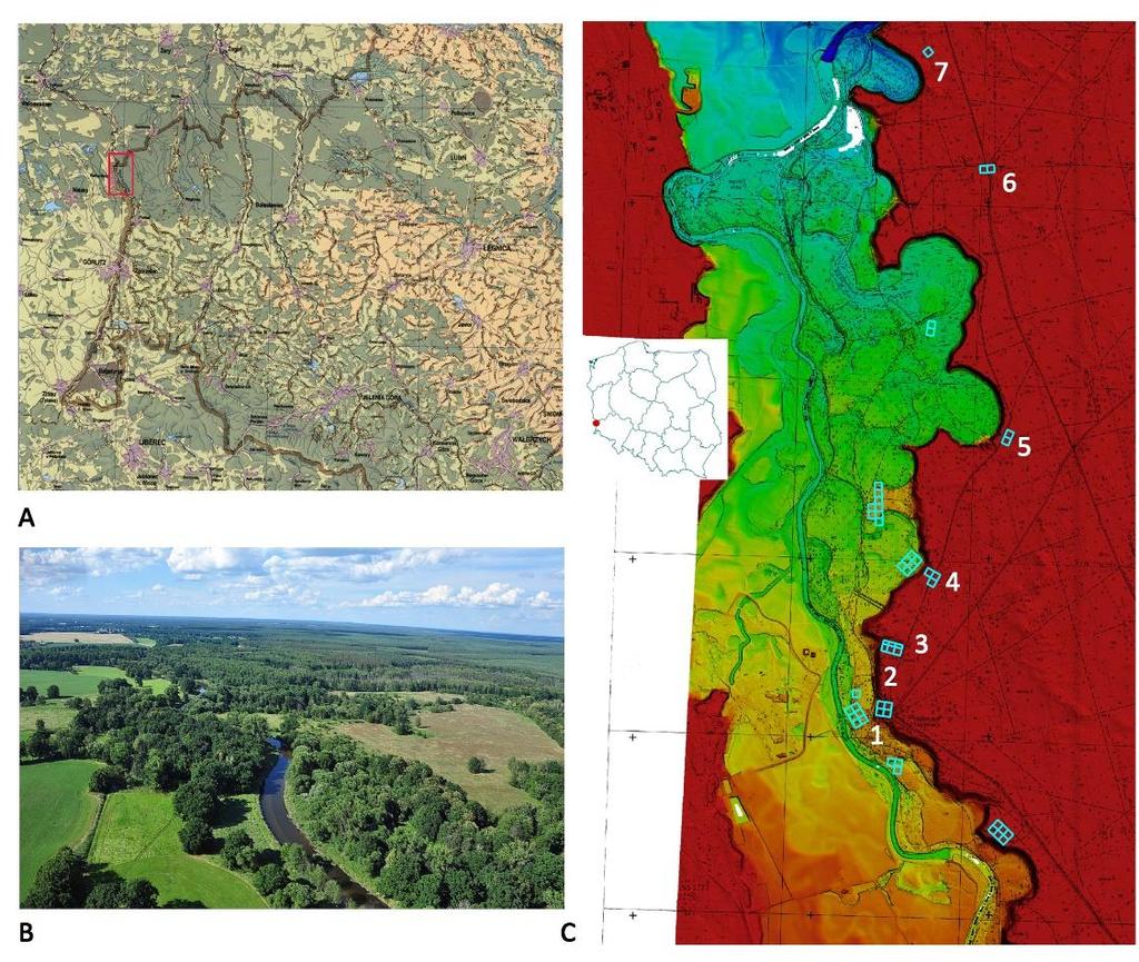 Metody geofizyczne w archeologii polskiej 2016 58 kulturowo-przyrodnicze celem zachowania jego oryginalności) ukierunkowały badania na wykorzystanie metod archeologii niedestrukcyjnej, uzupełnionych