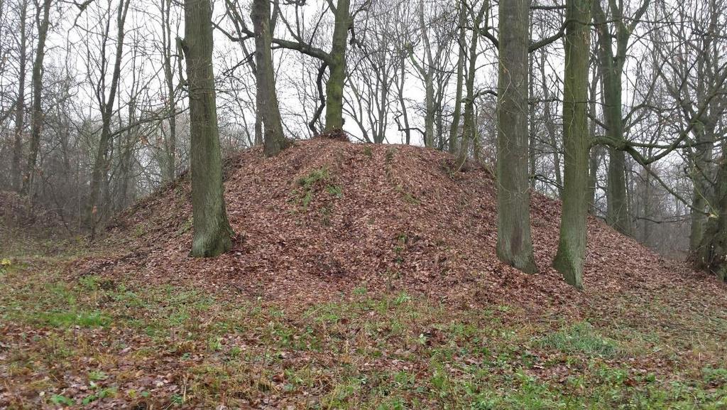 Metody geofizyczne w archeologii polskiej 2016 86 jednoznaczna interpretacja na tym etapie nie jest możliwa.