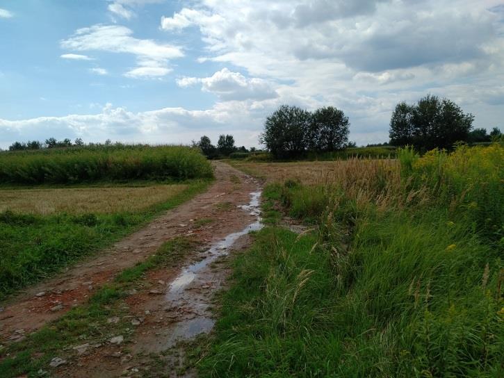 Opis działki gruntu Działka nr 366 Działka nr 366 o powierzchni 17 000 m