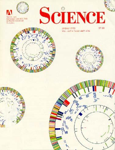 Sekwencjonowanie genomów 1977 Sanger i współpr. - fag ΦX 174 (5,4 tys. pz) 1981 Anderson i współpr. - mtdna człowieka (17 tys. pz) 1995 Fleischmann i współpr.