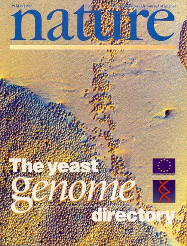 Sekwencjonowanie genomów 1996 1997