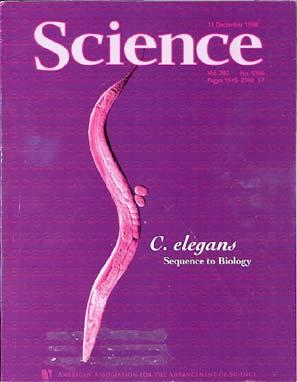 Saccharomyces cerevisiae (13 mln pz) 1998