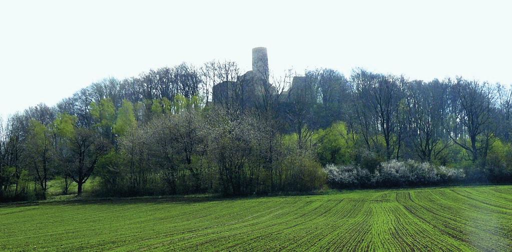 A: Ruins of the castle in Smoleń, renova on in the castle courtyard, B C: The hill in